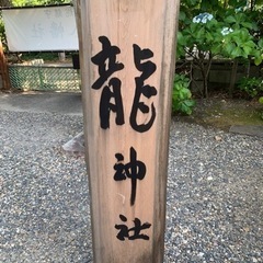 神社⛩🐉で心を研ぎ澄ます✨️🙏 - 名古屋市