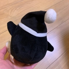 ドンペン黒の画像