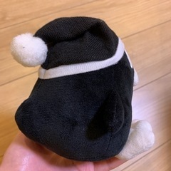 ドンペン黒の画像