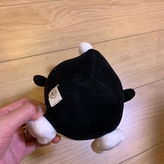 ドンペン黒の画像
