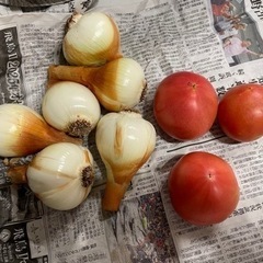 玉ねぎ小5個　トマト3個