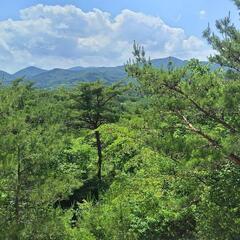 ☆未経験者ですが登山を初めてみたいです☆