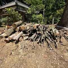 丸太　枝木