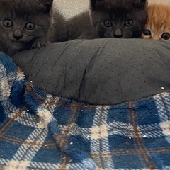 ずっとのお家みんな決まりました！