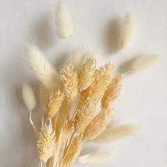 フラワーアレジメントなどの花材のセットの画像