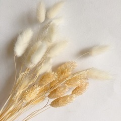 フラワーアレジメントなどの花材のセット