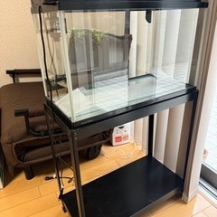 【お値下げしました】水槽　60cm ライト、濾過器　付きの画像