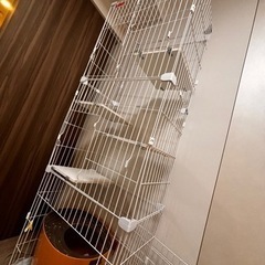 キャットゲージ