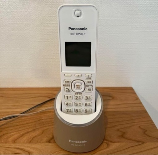 Panasonic ハンディフォン　KX-FKD509-T