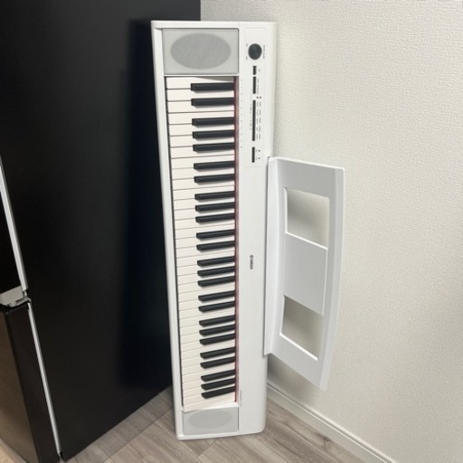 楽器 鍵盤楽器、ピアノ