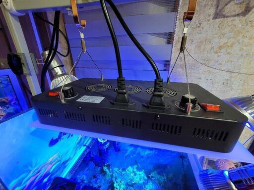 ブラックボックス　サンゴ水槽専用ライト(拡散パネル付き)家具 照明器具
