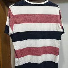 SHIPS　Tシャツ　着用少ないの画像
