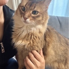 ソマリ　男の子