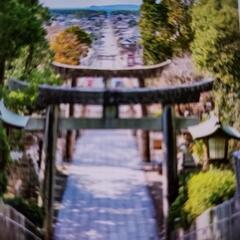 宮地嶽神社のイベント