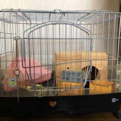 うさぎ小屋です