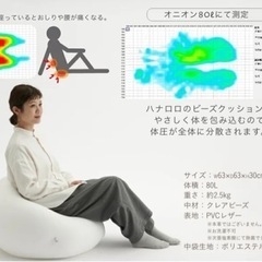 【決まりました】ハナロロ　オニオン　レザー　ビーズクッション　継ぎ足し用のビーズ付き　の画像