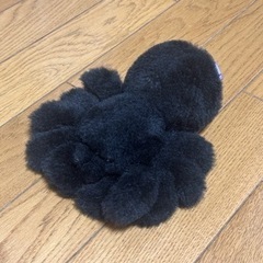 タランチュラぬいぐるみ クモちゃん