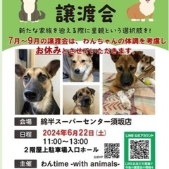 綿半で譲渡会開催！2024.6