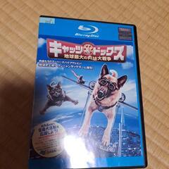 キャッツ&ドックDVD
