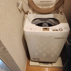 (6/23～6/30)引き取り可能な方の画像