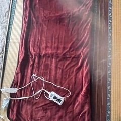 電気毛布あげます
