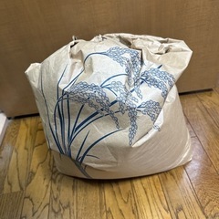 米（虫あり）約20kg