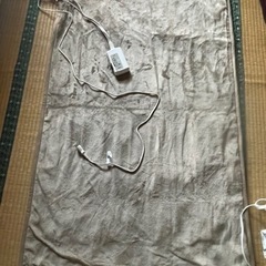 電気毛布あげます、