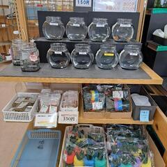 めだか販売　IN　よらん野