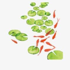 本日2日目！バケツ水草〜🌱　1🪣大量！数セットのみ