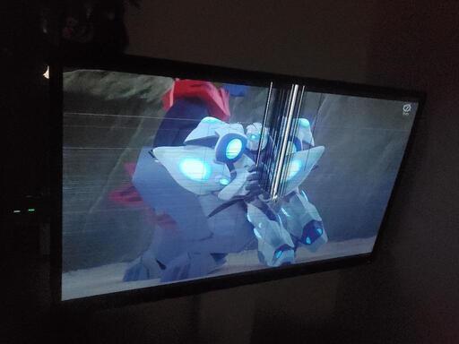 家電 テレビ