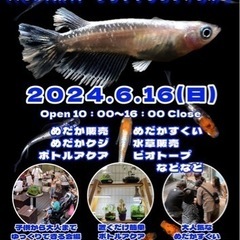 今日になります