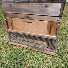 スズメバチ防護柵中古  8枚箱専用 自作品 残り6