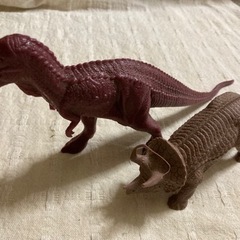 訳あり　恐竜2体