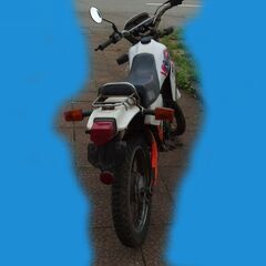 DT50 ジャンク　不動車　廃車手続済の画像