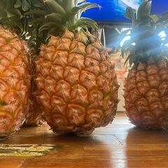 希少な西表島のピーチパイン[期間限定最安価格]の画像