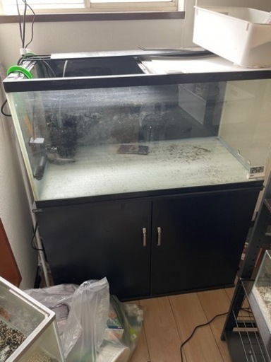 (今日のみ)900水槽セット【引き取り限定⠀】