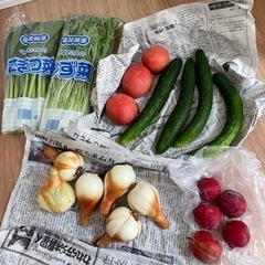すもも玉ねぎトマトきゅうり小松菜水菜