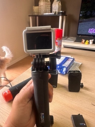 スポーツ フィットネス、トレーニング