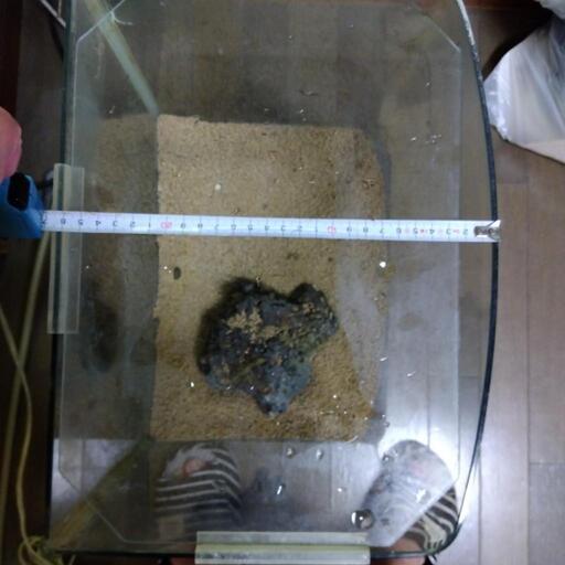 オールガラス水槽