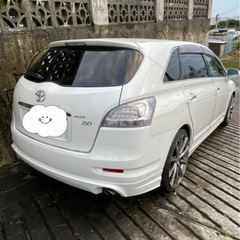 マークXジオの画像
