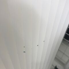 ★ジモティ割あり★ cado 除湿機  22年製 動作確認／クリーニング済み HJ3456の画像