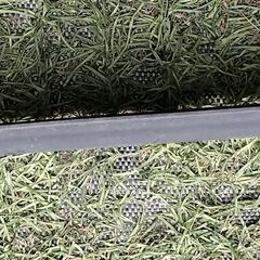 ha36 アルト用 純正 フロアバーの画像