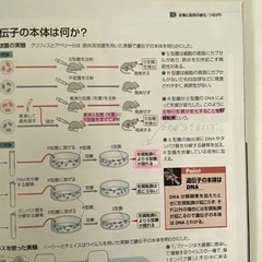 参考書　理科総合Bの画像