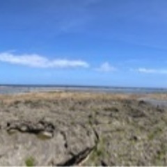 久高島に船で