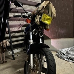 vtz250の画像