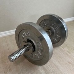 スポーツ フィットネス、トレーニング　ダンベル