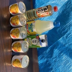 フルーツ缶詰　お酒など　食品　