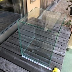 ガラス水槽