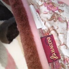 カーペットの画像