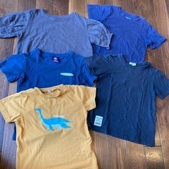 チャンピオン、サンカンシオン、ラーゴムなどのTシャツ5枚セット